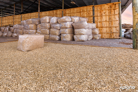 Aged Pine Offcuts for Equestrian Stables and Chicken Farms!