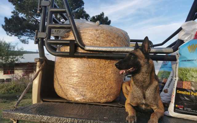 WhatsApp_Image_2022_05_05_at_5.32.44_AM_1651731490 WhatsApp_Image_2022_05_05_at_5.32.44_AM_1651731490