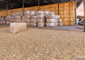 Aged Pine Offcuts for Equestrian Stables and Chicken Farms!