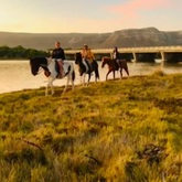 Horse Riding in Gansbaai