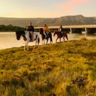 Horse Riding in Gansbaai Horse Riding in Gansbaai