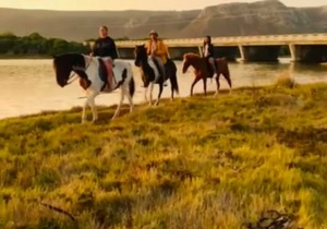 Horse Riding in Gansbaai