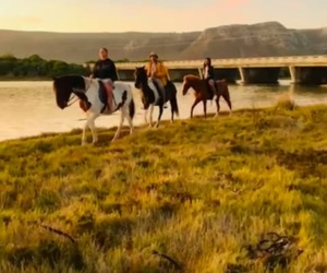 Horse Riding in Gansbaai