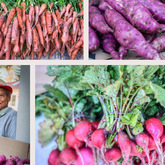 Locally Sourced Vegetables - RAW - Xplorio™ Greyton