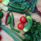 Fresh From The Garden - RAW - Xplorio™ Greyton