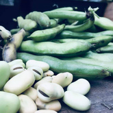 Freshly Grown Beans - RAW - Xplorio™ Greyton