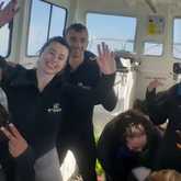 Shark Cage Diving - White Shark Projects - Xplorio™ Gansbaai