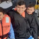 Shark Cage Diving - White Shark Projects - Xplorio™ Gansbaai