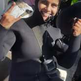 Shark Cage Diving - White Shark Projects - Xplorio™ Gansbaai