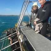 Shark Cage Diving - White Shark Projects - Xplorio™ Gansbaai