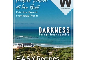 VIEW Magalogue: Latest Lifestyle Stories and Hottest Properties