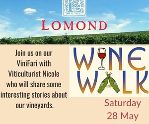 28 May 2022: Winter Wine Walk