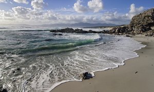 Dive Into The Sunshine - Gansbaai Weekend Inspiration