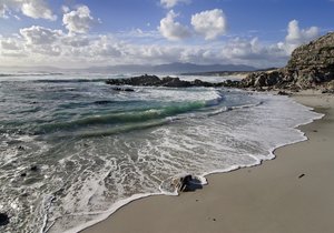 Dive Into The Sunshine - Gansbaai Weekend Inspiration