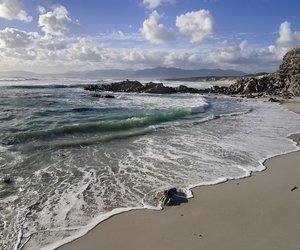 Dive Into The Sunshine - Gansbaai Weekend Inspiration