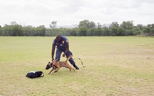 280380371_314661074175378_1424162108857371610_n_1652338396