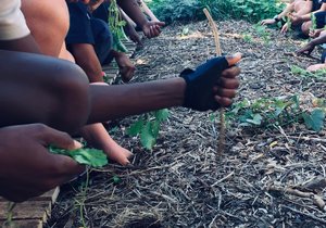 Valley Food Gardens - Enrichment Classes