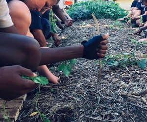 Valley Food Gardens - Enrichment Classes