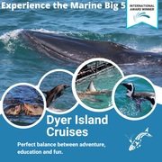 Next Dyer Island Marine Big 5 Tour: 17 May 2022
