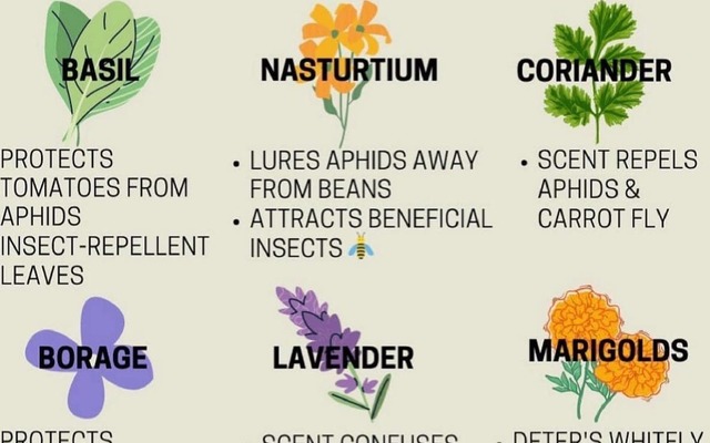 Poaster - RAW - Xplorio™ Greyton