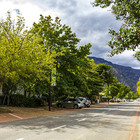 Main Road - Greyton Tourism - Xplorio™ Greyton