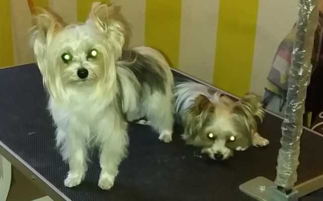 WhatsApp_Image_2022_05_19_at_9.09.15_AM_1_1652949861