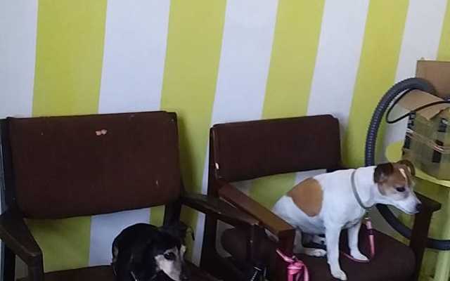 WhatsApp_Image_2022_05_19_at_9.09.35_AM_1_1652949862