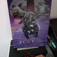 Dog Art Xplorio ™ Gansbaai