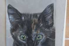 WhatsApp_Image_2022_05_19_at_10.14.12_AM_1__1652953392