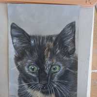 Cat Art Xplorio ™ Gansbaai