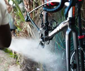 Bicycle Maintenance and Repair Services