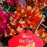 Fire Opal Flowers - Riverland Garden Centre - Xplorio™ Stanford