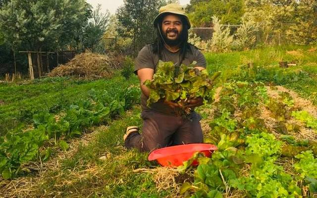 Harvesting - Valley Food Gardens - Xplorio™ Greyton 