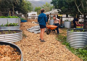 Winter Prep In The School Garden 
