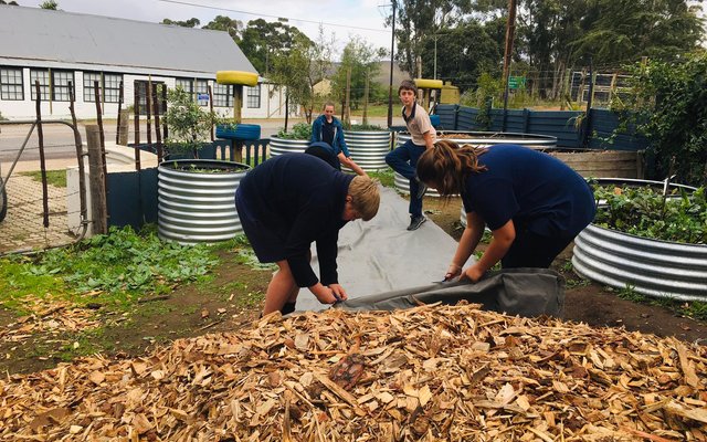 Laying pathway - RAW - Xplorio™ Greyton