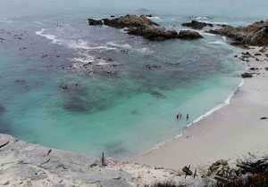 Things to Do in Gansbaai