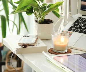 Working Environment Favourite Essential Oils