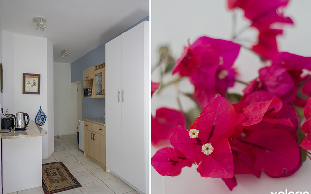 hermanus_accommodation_norfolk_guesthouse_blue_crane_kitchen_1559022526_1653471282