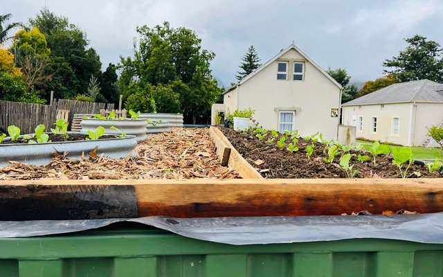 Rooftop garden progress - RAW - Xplorio™ Greyton