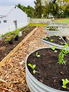 Rooftop Garden In Progress