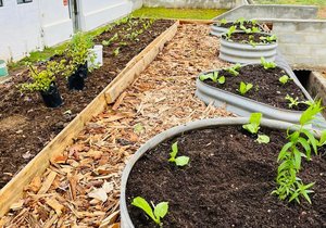 Rooftop Garden In Progress