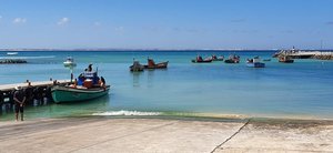 Seafood Made Easy With The SASSI List