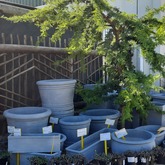 Riverland Garden Centre - Xplorio™ Stanford