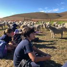 Farm Visit - Greyton House School - Xplorio™ Greyton