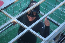Daily Blog: 28 May 2022 | Shark Cage Diving in South Africa