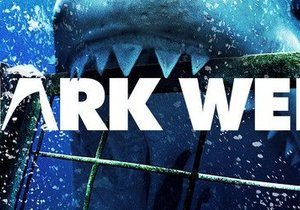 Shark Week Update - Gansbaai Daily News