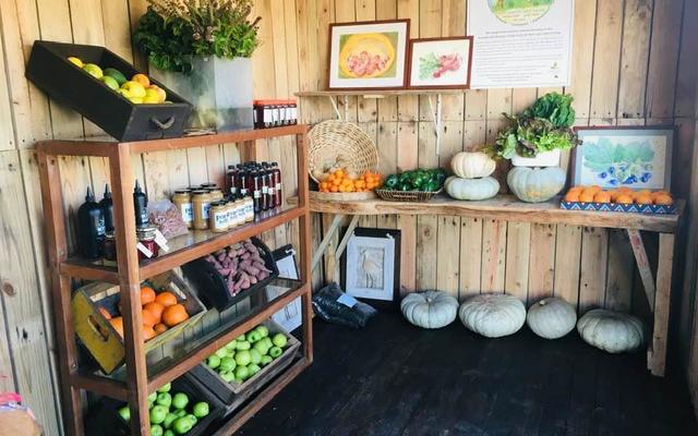 Products - RAW - Xplorio™ Greyton