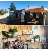 The RAW Shop Journey