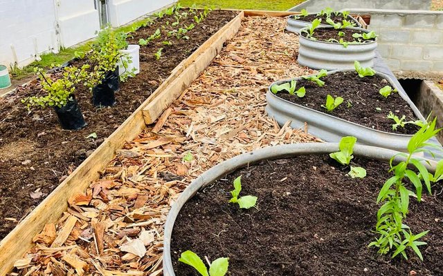 Rooftop Garden - RAW - Xplorio™ Greyton