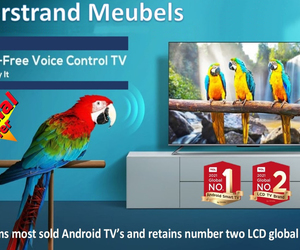 TCL Hands-Free Voice Control TV